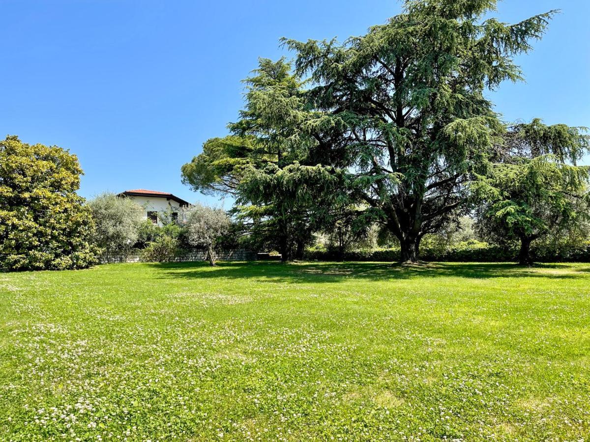 Villa Antonio San Felice del Benaco Eksteriør billede